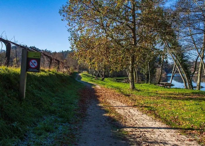 Casa Das Oliveiras