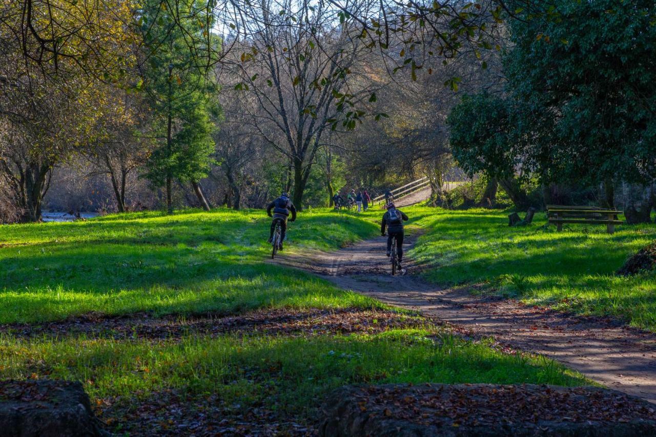 Country house Casa Oliveiras Beiral do Lima